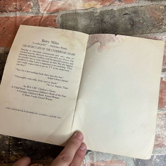 5 for $25🔥The Bad Dreams of a Good Girl by Susan Shreve (Paperback Book) - Picture 3 of 4